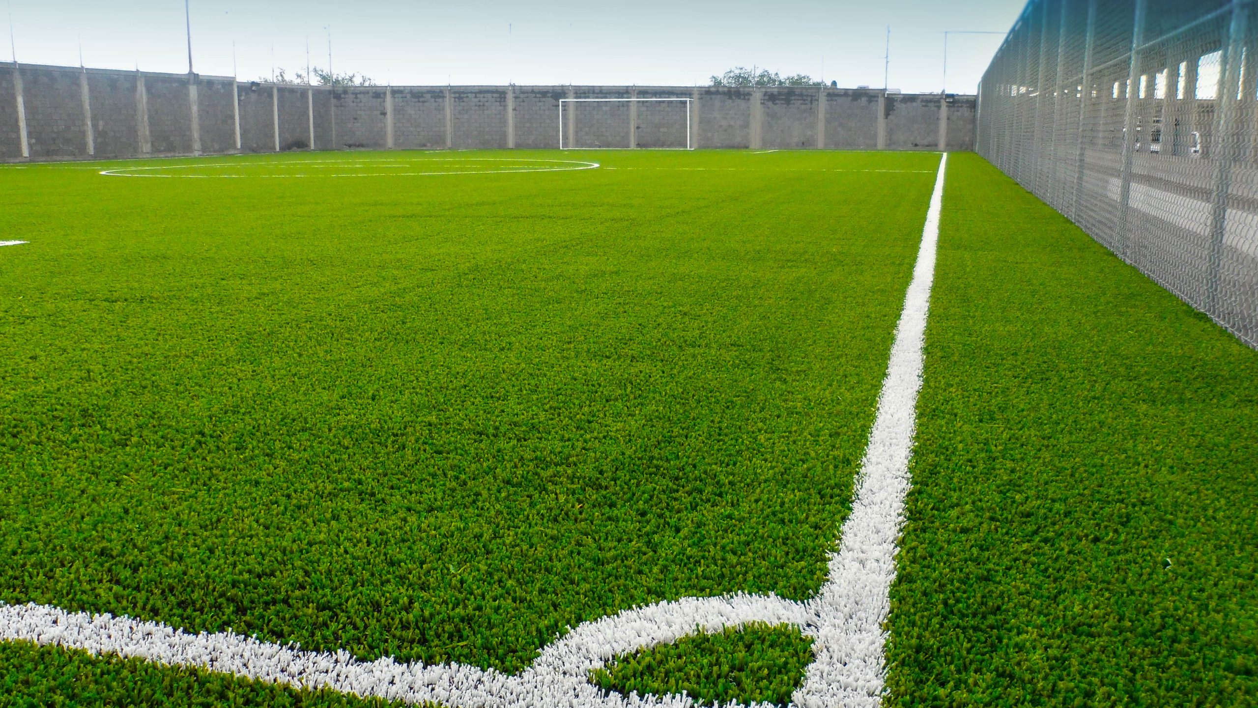 cancha scaled
