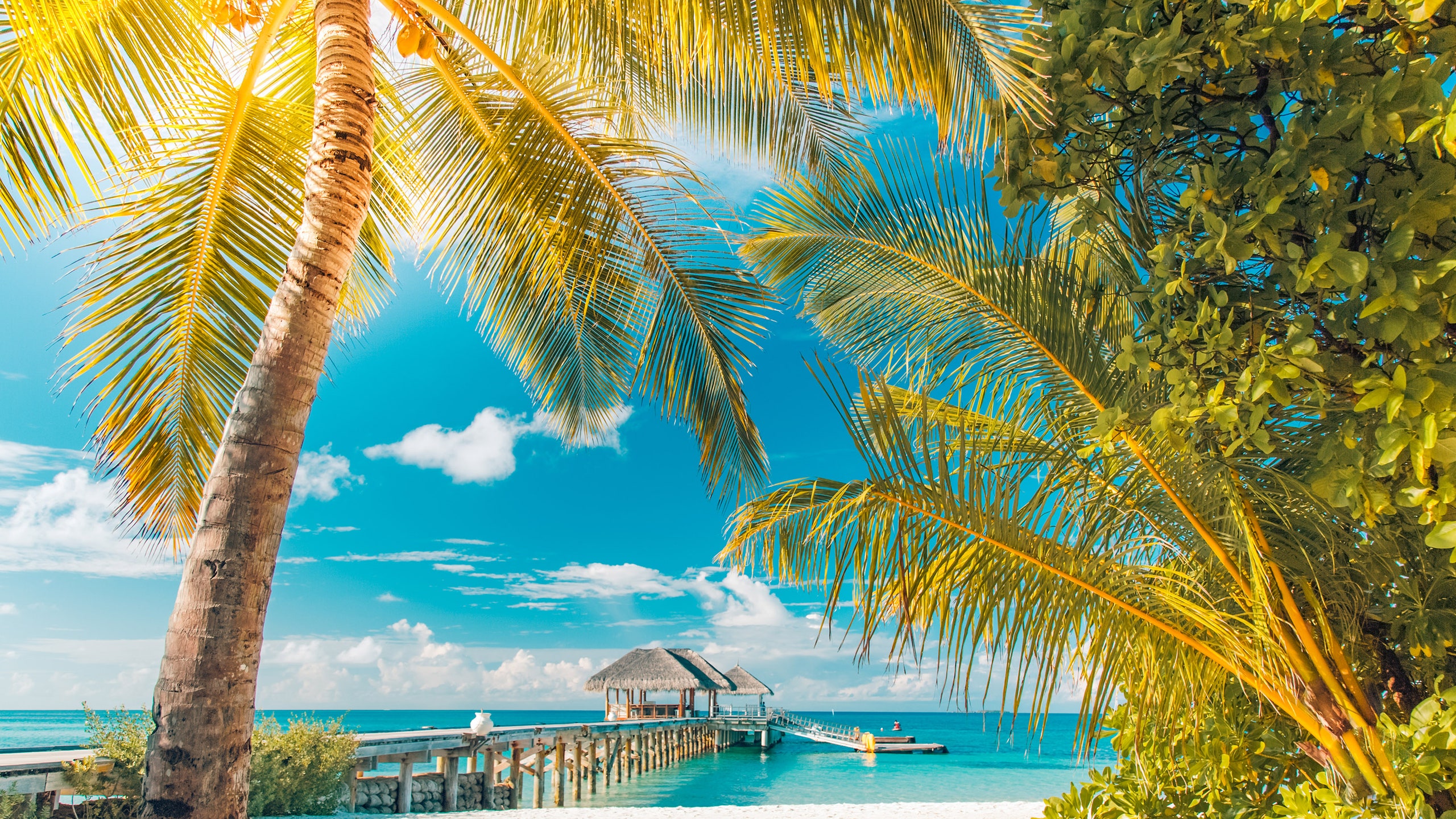 Cuáles son las playas más económicas para visitar en Colombia 1 playas