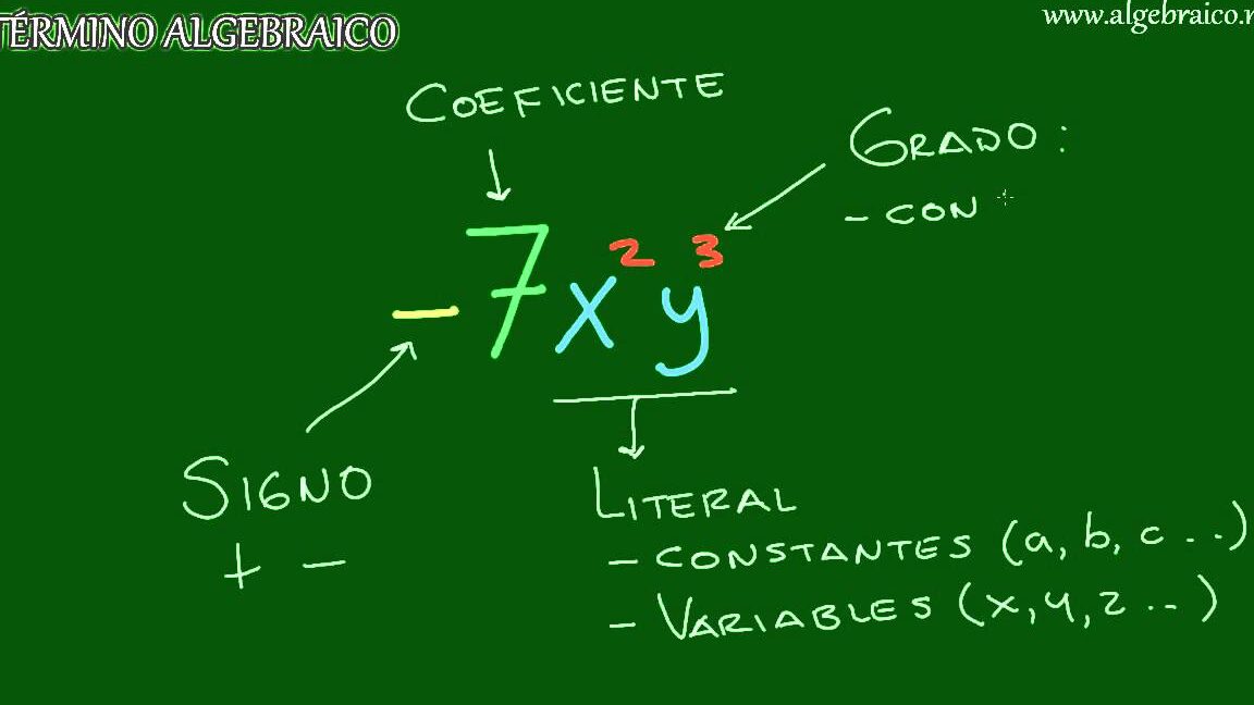 termino algebraico elementos y definicion clave